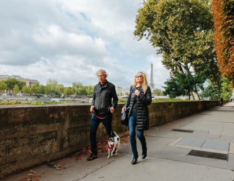 Se quiser ser bem-recebido em uma viagem para a França, leve seu cachorro