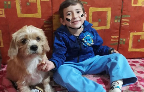 Cachorro aguarda menino com paralisia voltar da escola e a recepção é emocionante