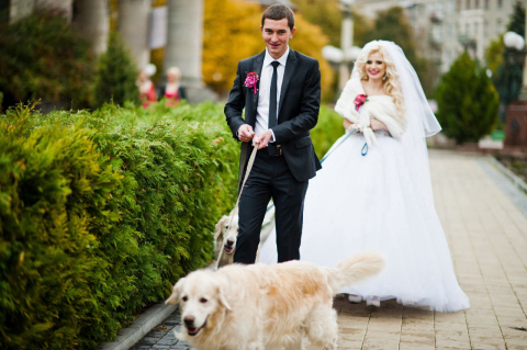 Quando o pet “precisa” fazer parte da cerimônia de casamento