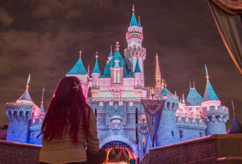 Passo a passo para conhecer a Disney sem imprevistos e gastos exorbitantes