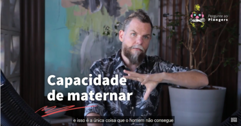 Dividindo as tarefas