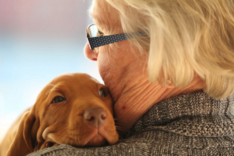 Como calcular a idade do cachorro comparando com a dos humanos