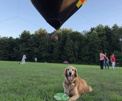 Cachorro com câncer anda em balão, toma sorvete e acampa para cumprir lista de desejos