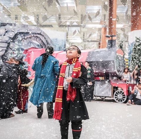 Aeroporto de Singapura ganha decoração inspirada em Harry Potter