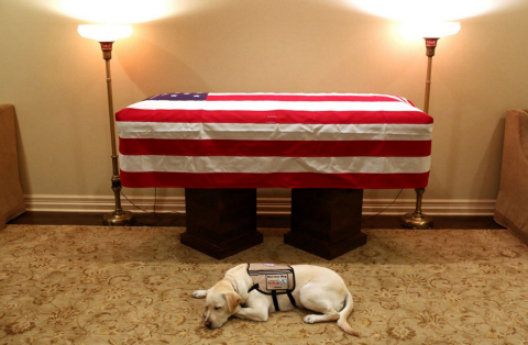 Cão de George H. W. Bush permanece ao lado do caixão do ex-presidente dos EUA