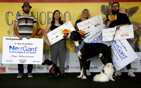 Conheça os premiados do concurso Cachorro do Ano 2018