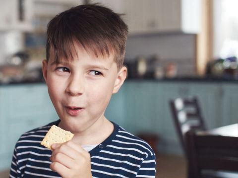 O que é “pedir biscoito”, a expressão que está bombando na internet