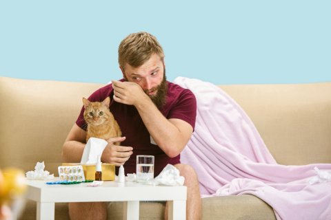Cientistas desenvolvem vacina que acaba com alergia a pelos de gato