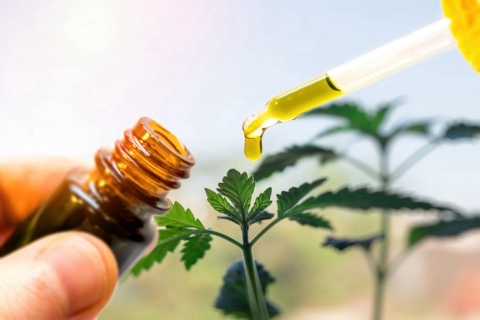 O que já sabemos sobre o uso terapêutico do canabidiol