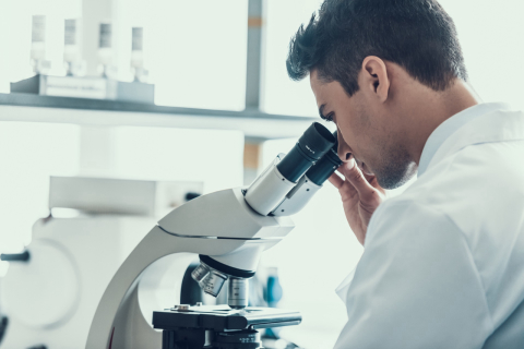 Laboratório brasileiro produz pele humana para testes em produtos