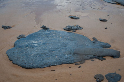 Náusea, tontura e alergia: os riscos do contato com o óleo nas praias do Nordeste