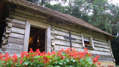 150 de imigração: saiba onde encontrar a cultura polonesa em Curitiba