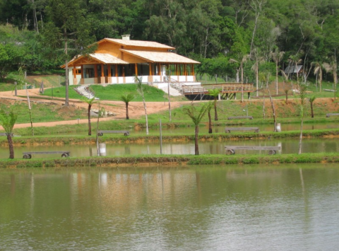 Conheça três pesque-pagues perto de Curitiba para aproveitar o feriado