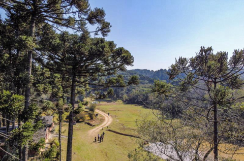 Curitiba ganhará novo parque em 2022; confira as fotos