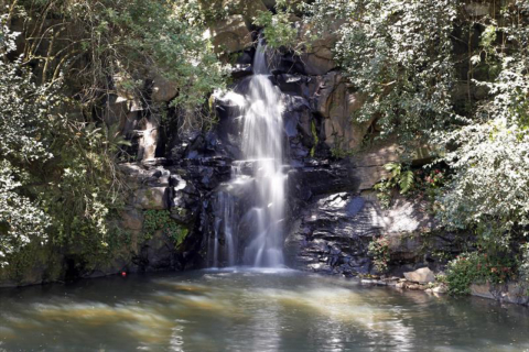 Três parques pouco conhecidos para curtir o fim de semana em Curitiba