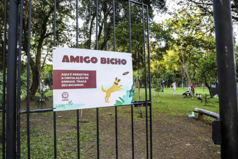 Quatro lugares para passear com os pets em Curitiba