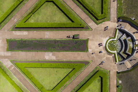 Curitiba inicia o plantio de flores natalinas para celebrar o final do ano
