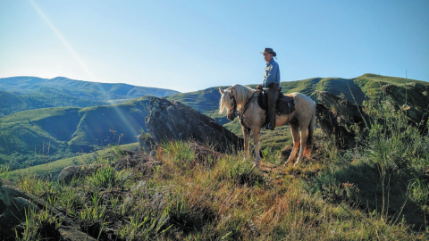 Turismo a cavalo: conheça a história de Paulo Junqueira Arantes, que já viajou por 24 países