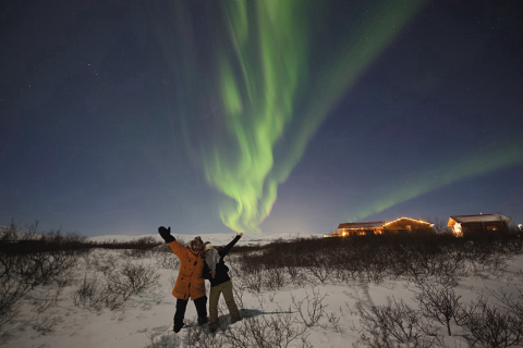Conhecendo a dama da noite