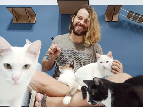 Café com gatos tem “sala recreativa” para brincar com felinos em Curitiba