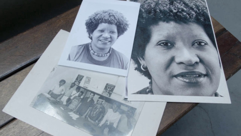 Festival FIDÉ, horta regenerativa e mais: confira as novidades e tendências em Curitiba neste mês