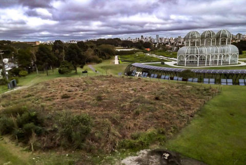 Matinho no Jardim Botânico? Conheça coleção de campos nativos rica em diversidade