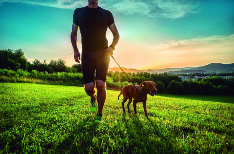 A prática de esportes com cães