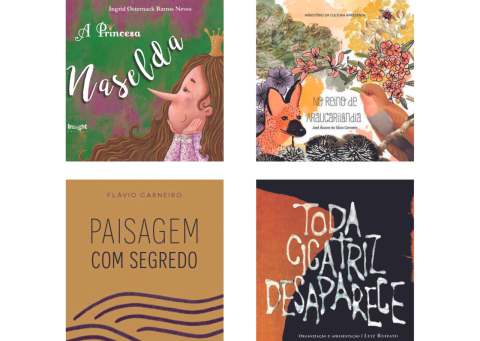 Leitura para as férias: Pinó indica livros para todas as idades