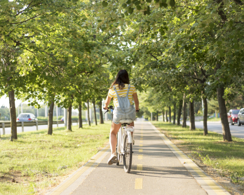 4 rotas para aproveitar os pontos turísticos de Curitiba de bike