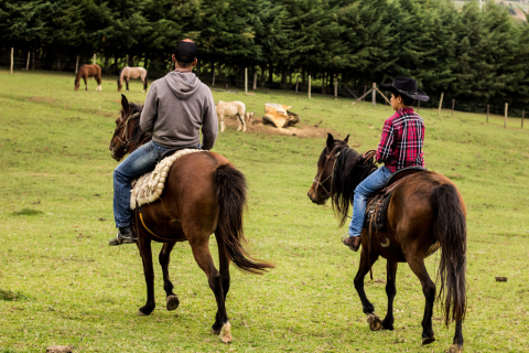 5 dicas do que fazer em Curitiba – e região – longe da folia