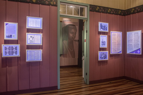 Exposição gratuita homenageia 1ª mulher negra a se formar engenheira no Brasil