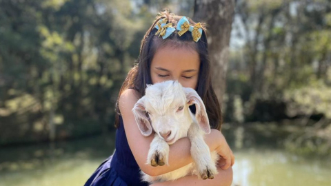 Restaurante rural oferece entrada gratuita e recreação adaptada para crianças com transtorno do espectro autista