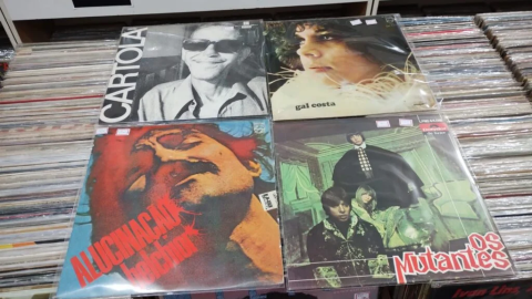 Shopping de Curitiba sedia Feira de Vinil com mais de 5 mil títulos