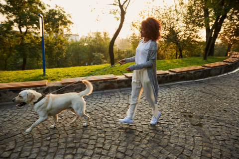 Passear é bom pra cachorro