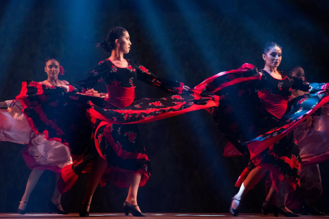 62º Festival Folclórico e de Etnias do Paraná reúne 15 grupos em 12 dias de apresentação