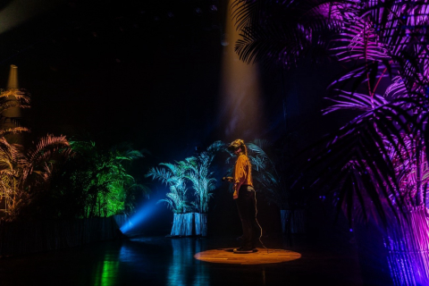 Exposição gratuita leva visitantes a uma floresta encantada por meio da realidade virtual