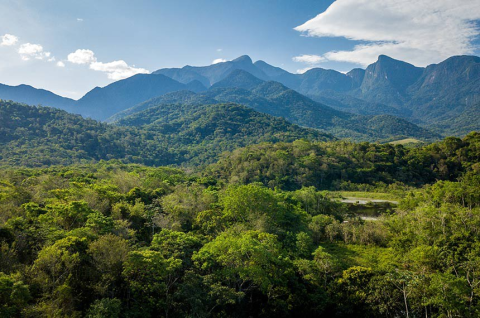 PR, SC e SP podem ter rota turística voltada à preservação da Mata Atlântica