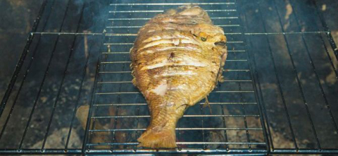 5 dicas certeiras para preparar peixe na churrasqueira
