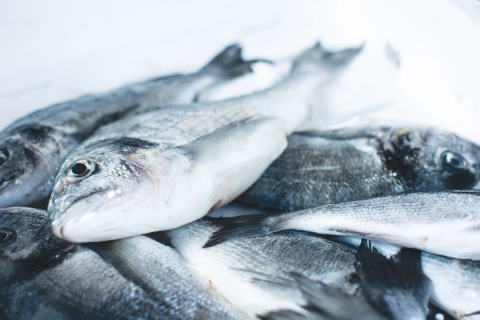 Olha o Peixe tem combos para clientes de Curitiba comprarem pescados direto de pescadores