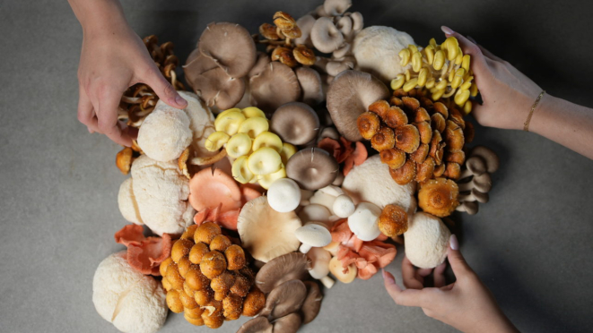 Ingredientes sazonais e orgânicos, como cogumelos, estão na lista de ingredientes do Ninna Cozinha.