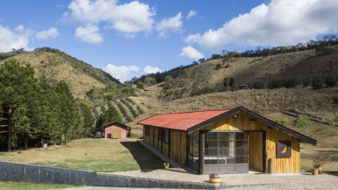 Olival em Santo Antônio do Pinhal, onde os visitantes podem ver como o Azeite Sabiá é produzido.