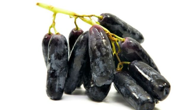 A uva dedo-de-moça foi desenvolvida nos Estados Unidos. Foto: BigStock.