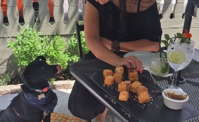 Além de petiscos, os cães ganham água e bastante espaço para brincar, no restaurante Limoeiro. Foto: divulgação