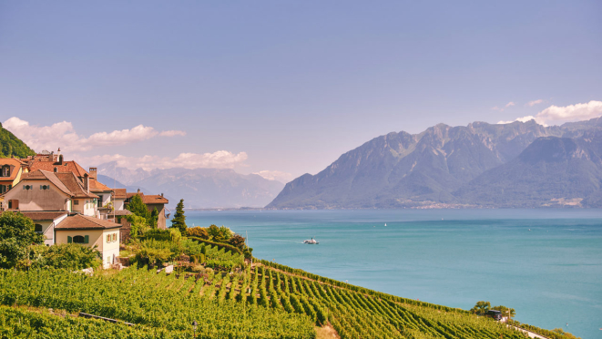 Vinhedos em terraço na região de Lavaux: Patrimônio Mundial da Unesco.