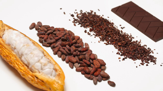 Do cacau ao chocolate: Nugali é pioneira no Brasil no método bean-to-bar, com trabalho constante com produtores da Bahia e do Pará.