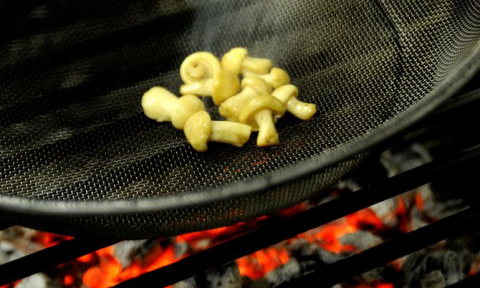 Nas montanhas do País Basco