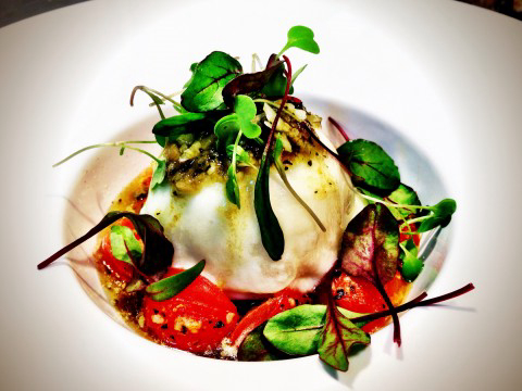 Burrata