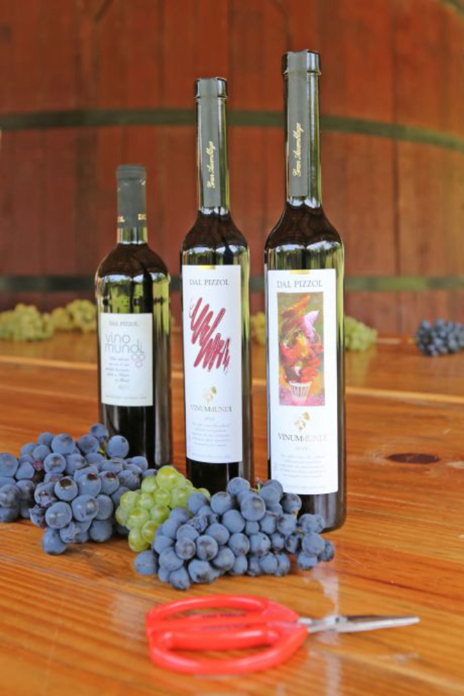 Vinum Mundi 2011, 2012 e 2013. Foto: Fabiano Mazzotti