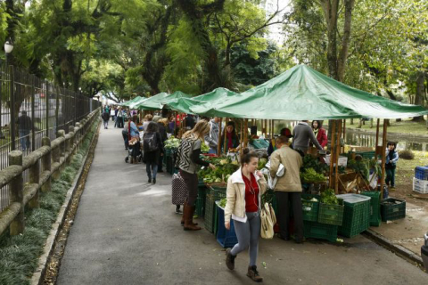 Veja onde comprar produtos orgânicos de origem animal em Curitiba