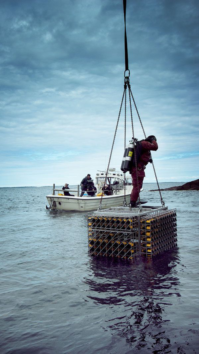 As garrafas foram colocadas em uma adega e submersas no Mar Báltico. Foto: Divulgação.